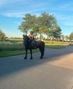 Bijrijder aangeboden/ verzorgpaard gezocht, Dieren en Toebehoren, Paarden en Pony's | Verzorgingsproducten, Ophalen of Verzenden