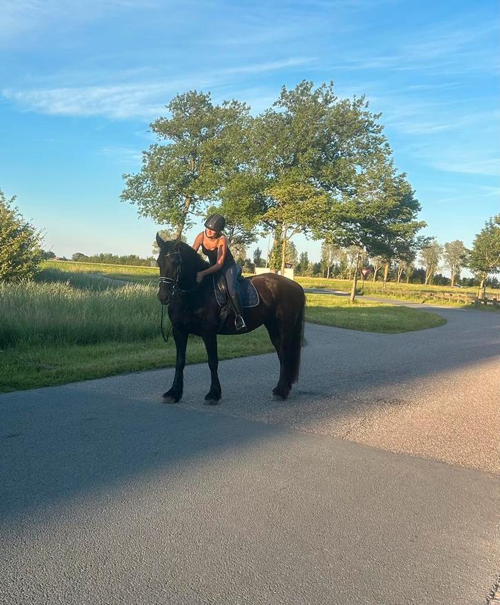 Bijrijder aangeboden/ verzorgpaard gezocht, Dieren en Toebehoren, Paarden en Pony's | Verzorgingsproducten, Zo goed als nieuw