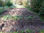 Groentetuin/moestuin/hobbykas beschikbaar voor gebruik !, Tuin en Terras, Ophalen, Gebruikt