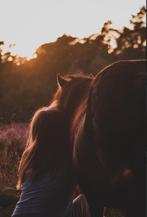 Stalling en of weidengang gezocht!, Eén persoon