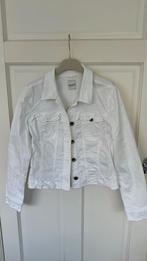 Jasje Taifun maat 42, Kleding | Dames, Jassen | Zomer, Ophalen of Verzenden, Gedragen, Maat 42/44 (L)