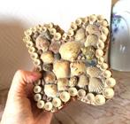 Juwelenkistje uit schelpen, Ophalen of Verzenden, Schelp(en)