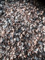 TE KOOP Gewassen schelpen, Tuin en Terras, Grind, Keien en Split, Ophalen, Nieuw, Overige materialen