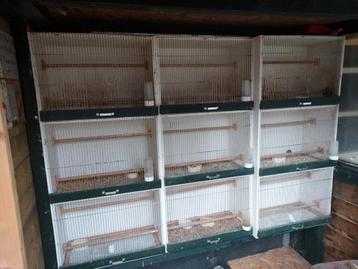 9 vogelkooien ,zelf eruit halen  beschikbaar voor biedingen