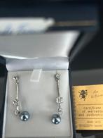 Oorbellen ( stekers), Ophalen of Verzenden, Nieuw, Zilver, Overige materialen