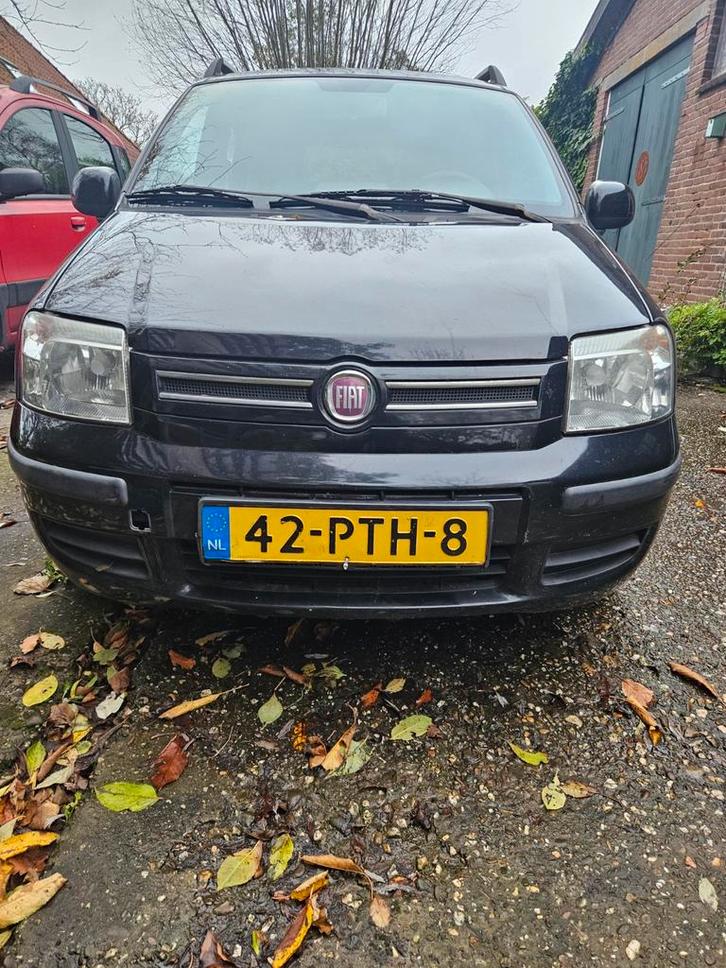 De zwarte panda met karakter - werkt hard, rijdt lekker, Auto's, Fiat, Particulier, Panda, ABS, Airbags, Centrale vergrendeling