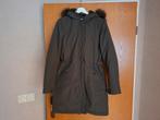 Winterjas costes maat M groen, Kleding | Dames, Ophalen of Verzenden, Zo goed als nieuw, Groen