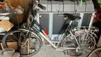 Koga miyata forest lady maat 56, Fietsen en Brommers, Fietsen | Dames | Damesfietsen, 53 tot 56 cm, Ophalen, Zo goed als nieuw
