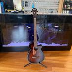 Ibanez AEGB24E-MHS Semi-Akoestische BasGitaar ZGAN met Bon, Muziek en Instrumenten, Snaarinstrumenten | Gitaren | Bas, Ophalen of Verzenden