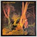Echo And The Bunnymen - Crocodiles (1980) UK persing, Ophalen of Verzenden, Gebruikt