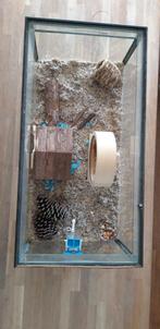 Knaagdierverblijf met veel toebehoren /hamsterhok /terrarium, Dieren en Toebehoren, Knaagdieren en Konijnen | Hokken en Kooien