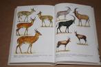 Elseviers gids van de Afrikaanse zoogdieren., Boeken, Ophalen of Verzenden, Gelezen