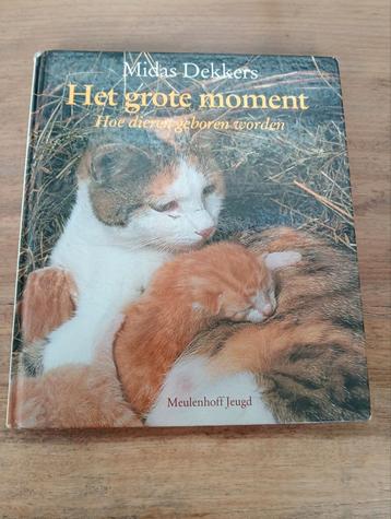 Het grote moment  beschikbaar voor biedingen