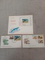 1e dag Enveloppen Belgie - ZOO Antwerpen, Ophalen of Verzenden, Envelop