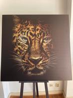 Panter op aluminium-dibond  1.20 x 1.15, Antiek en Kunst, Kunst | Schilderijen | Abstract, Ophalen