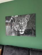 Plexiglas schilderij cheetah 120x80, Ophalen