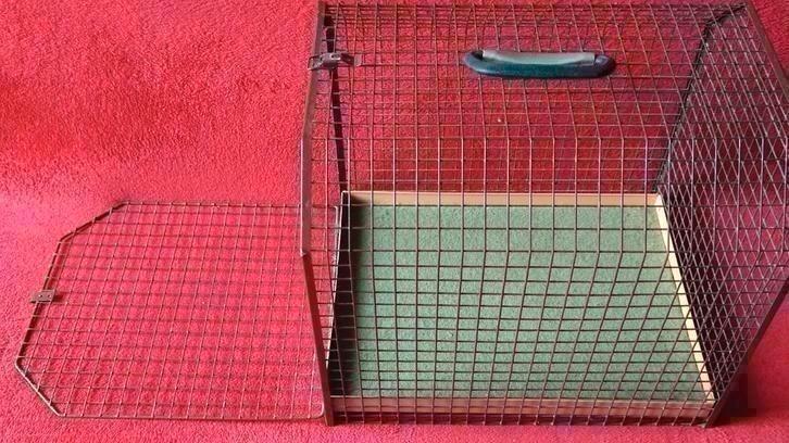 Terenziani kooi / bench voor hond, kat, vogel, cavia, konijn, Dieren en Toebehoren, Vogels | Hokken en Kooien, Vogelkooi, Metaal