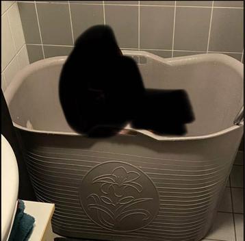 Grijze kinderbad beschikbaar voor biedingen