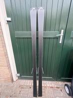 Head Worldcup Rebels Raceski's 177cm, Ophalen, 160 tot 180 cm, Gebruikt, Carve