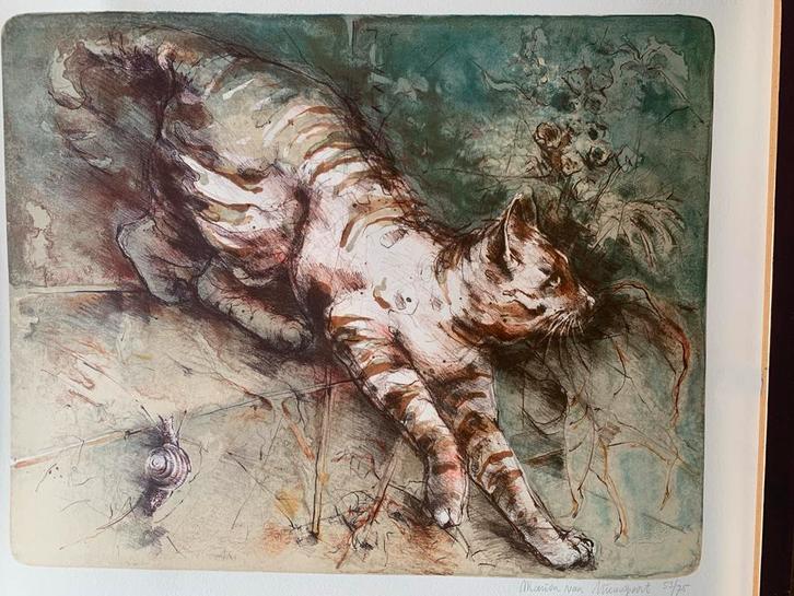 Steendruk Marion van Nieuwpoort - Kat, Antiek en Kunst, Kunst | Litho's en Zeefdrukken, Ophalen