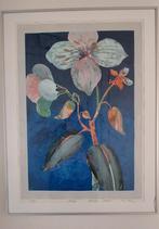 Zeefdruk van Marjan Jaspers, Antiek en Kunst, Ophalen
