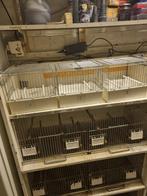 Kweek kooien voor vogels, Dieren en Toebehoren, Ophalen, Hout, Broedkooi of Kweekkooi