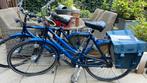 Set Gazelle Trendy fietsen, 7 versnellingen, trommeltemmen, Ophalen, Versnellingen, Gazelle, 53 tot 56 cm