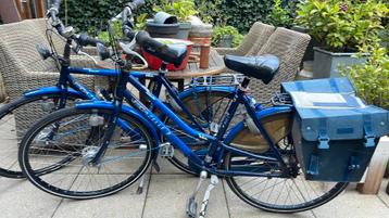 Set Gazelle Trendy fietsen, 7 versnellingen, trommeltemmen beschikbaar voor biedingen