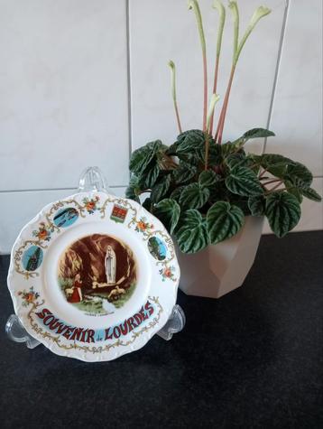 Souvenir De Lourdes Vintage Porselein Wandbord. beschikbaar voor biedingen