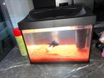 Te koop: Zwart tetra Aquarium + 2 vissen, Ophalen of Verzenden, Zo goed als nieuw, Leeg aquarium