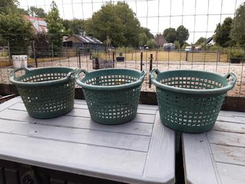 Plastic appelmand / tuinmand groen 3 stuks beschikbaar voor biedingen