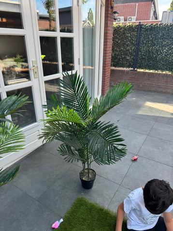 Kunst palmboom beschikbaar voor biedingen