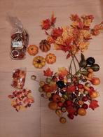 Herfstdecoratie spullen, o.a. droogbloemen, hout, pompoenen, Huis en Inrichting, Woonaccessoires | Overige, Ophalen, Gebruikt