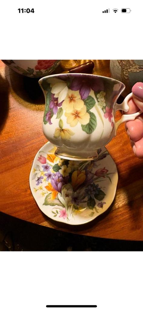 Vintage: Alt Regensburg Fine Bone China kopje + schotel, Ophalen of Verzenden