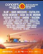 Concert at Sea weekendticket 2x plus parkeren, Twee personen