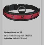 Halsband met verlichting in, Ophalen of Verzenden, Verlicht, Nieuw