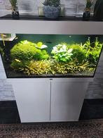 Juwel Aquarium Rio 125, Dieren en Toebehoren, Vissen | Aquaria en Toebehoren, Ophalen, Zo goed als nieuw
