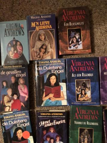 19 boeken van virgina Andrews romans beschikbaar voor biedingen