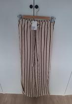 H&M broek beige bruin twill drawstring xs 34 NIEUW, H&M, Bruin, Nieuw, Ophalen of Verzenden