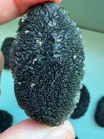 Moldaviet uit Zatacka - Zeldzaam!, Ophalen of Verzenden, Mineraal