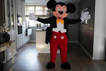 MICKEY MOUSE mascotte te huur ‼️ beschikbaar voor biedingen