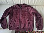 G-STAR RAW bomberjack vest maat XL bordeaux, Kleding | Dames, Maat 46/48 (XL) of groter, Ophalen of Verzenden, Rood, G-STAR RAW