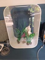 2x Biorb aquarium incl toebehoren., Dieren en Toebehoren, Ophalen of Verzenden, Gebruikt