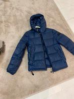 Jas peuterey, Kleding | Heren, Jassen | Winter, Overige kleuren, Ophalen of Verzenden, Zo goed als nieuw, Peuterey