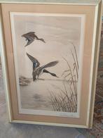 aquarel, Antiek en Kunst, Kunst | Schilderijen | Klassiek, Ophalen