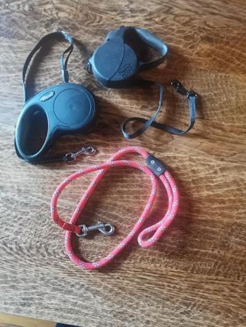 hondenriemen beschikbaar voor biedingen