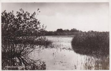 Ansichtkaart 1947 Halle Vildersveen beschikbaar voor biedingen