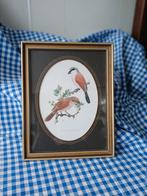 Engels kunstwerkje ven scilder Engelse Murr 1956 vogels., Antiek en Kunst, Kunst | Schilderijen | Klassiek, Ophalen of Verzenden