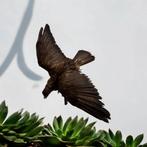 Vintage XL opgezette roofvogel op tak met houder muur, Ophalen