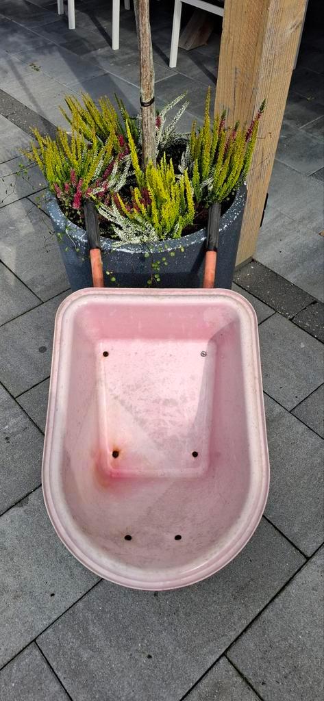 Leuke kinderkruiwagen voor kleine tuiniers!, Tuin en Terras, Kruiwagens, Gebruikt, Handmatig, Ophalen